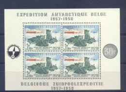 BL31 Postgaaf ** MNH PRACHTIG Zuidpool - 1924-1960