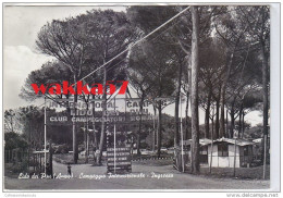 3-3212- Anzio - Lido Dei Pini - Campeggio Internazionale - Ingresso - Roma - F.g. - Viaggiata - Latina