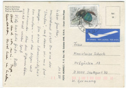 Postcard  South West Africa 1978 Okaukuejo Insects Bee - Namibia (1990- ...)