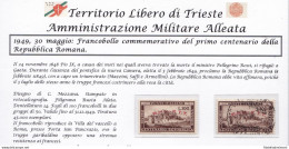 1949 TRIESTE A - N° 41 100 Lire Bruno NUOVO (MNH/**)+USATO - Autres & Non Classés