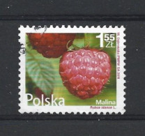 Poland 2011 Fruit Y.T. 4261 (0) - Gebruikt