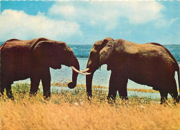 Animaux - Eléphants - East African Wild Life - CPM - Voir Scans Recto-Verso - Éléphants