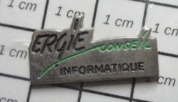 412B  Pin's Pins / Beau Et Rare / INFORMATIQUE / ERGIE CONSEIL - Informatica