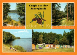 73130235 Schorfheide Grossvaetersee Campingplatz Werbellinsee  Schorfheide - Finowfurt