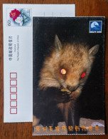 Chinese Flying Squirrel,China 2001 Guangzhou Changlong Night Zoo Advertising Pre-stamped Card - Roedores