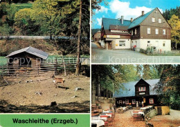 73081563 Waschleithe Tierpark Gaststaette Osterlamm Koehlerhuette Waschleithe - Grünhain
