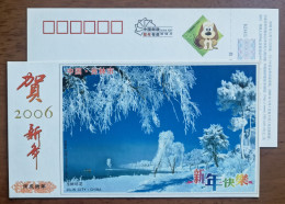 Rime On Tree Meteorological Wonders,China 2006 Jilin City Jade Tree & Snow Flowers Advertising Pre-stamped Card - Klimaat & Meteorologie