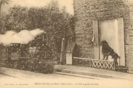 CPA-76- NEUFCHÂTEL-EN-BRAY _ Le Chien Garde-barrière ** 2 Scans - Neufchâtel En Bray