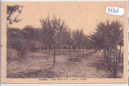 CACHAN- FOYER DES P T T- JARDIN- VERGER - Cachan