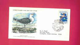 FDC Ce 1976 De CCCP USSR  Russie - Goëland - Black-backed Gull - Larus Marinus - Mouettes