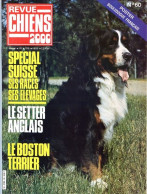 REVUE CHIEN N° 60 De 1981 Animaux Chiens - Animales