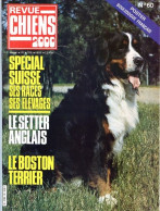 REVUE CHIEN N° 60 De 1981 Animaux Chiens - Animaux