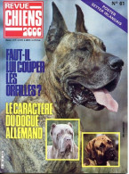 REVUE CHIEN N° 61 De 1981 Animaux Chiens - Dieren