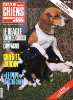 REVUE CHIEN N° 56 De 1981 Animaux Chiens - Animales