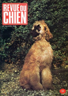 REVUE DU CHIEN  N° 17  De 1975  Animaux Chiens - Animali