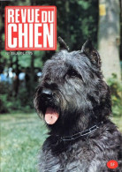 REVUE DU CHIEN  N° 19  De 1975  Animaux Chiens - Animaux