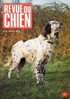 REVUE DU CHIEN  N° 16  De 1975  Animaux Chiens - Animals