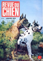 REVUE DU CHIEN  N° 14  De 1975  Animaux Chiens - Tierwelt