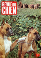 REVUE DU CHIEN  N° 12  De 1974  Animaux Chiens - Animales