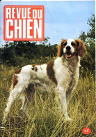 REVUE DU CHIEN  N° 5  De 1973  Animaux Chiens - Animali