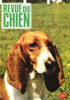 REVUE DU CHIEN  N° 4  De 1973  Animaux Chiens - Animali