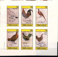 Staffa Local Post Birds Oiseaux Poules Coqs  Imperf MNH - Farm