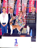 Centrale Canine N° 175  Concours Général Agricole Résultats Photos  , Revue Cynophilie Francaise Chien - Dieren