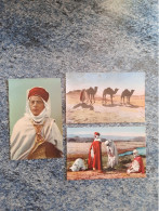 Collection Artistique Afrique N° 1061 Désert Algérien Dromadaire 8.019 Portrait Homme Maure 8.044 La Prière Dans Désert - Colecciones Y Lotes