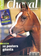 CHEVAL Magazine N° 416 Juillet 2006 Chevaux Equitation Mensuel Equestre - Tierwelt