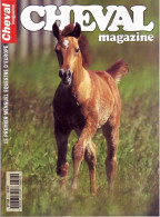 CHEVAL Magazine N° 317 Avril 1998  TBE  Chevaux Equitation Mensuel Equestre - Dieren