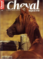 CHEVAL Magazine N° 342  Mai  2000  TBE  Chevaux Equitation Mensuel Equestre - Tierwelt