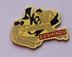 C129 Pin's Judo Karaté Goshindo Evolution Vernier, Suisse Achat Immédiat - Judo