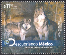 México 2683 2012 Fauna En Peligro De Extinción Lobo Mexicano MNH - Mexico