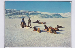 Greenland Postcard "rest During Sledge Ride" Unused (GD150) - Fauna Artica