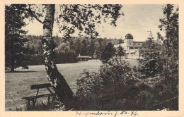 Bad Reiboldsgrün - Kurhaus Gel.1938 SST - Auerbach (Vogtland)