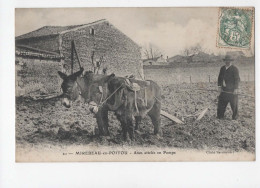 AJC - Mirebeau En Poitou Annes Attelés En Pompe - Mirebeau