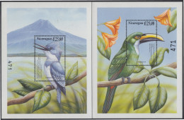 Nicaragua HB 291/92 2000 Fauna Pájaros Birds MNH - Nicaragua