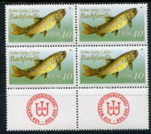 DDR 1987 Freshwater Fish 10 Pf. Without Year Date Block Of 4 MNH / **.  Michel 3096 II - Neufs