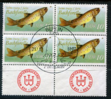 DDR 1987 Freshwater Fish 10 Pf. Without Year Date Block Of 4 Used.  Michel 3096 II - Gebruikt