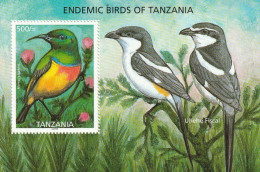 Tanzania 2006, Postfris MNH, Birds - Tanzania (1964-...)