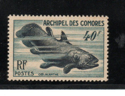 COMORES  POISSON  TIMBRE No 13 MNH** COTANT 36 EUROS - Unused Stamps