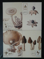 Carte Maximum Card (x4) Champignons Mushroom Luxembourg 1991 - Maximum Cards