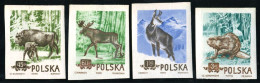 FAU3  Polonia Poland   Nº 785/88 Sin Dentar    MNH - Other & Unclassified