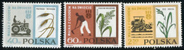 FL1/FAU4  Polonia Poland Nº 1229/31   MNH - Autres & Non Classés