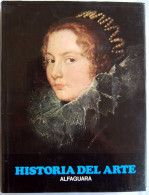 Historia Del Arte Alfaguara. Desde La Edad Media Hasta La época Actual. Tomo II - Gérard Du Ry Van Beest Holle - Arte, Hobby