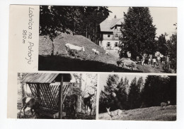 1960? YUGOSLAVIA,SLOVENIA,POHORJE,LOBNICA NA POHORJU,POSTCARD,MINT - Jugoslawien