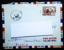 ►    Guinée Conakry - 1959 - N°Yv. 15 - Eléphant D'afrique  Sur Enveloppe   Air Mail - Olifanten