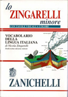 Lo Zingarelli Minore. Vocabolario Della Lingua Italiana. Con Tavole Visuall A Colori - Nicola Zingarelli - Woordenboeken,encyclopedieën