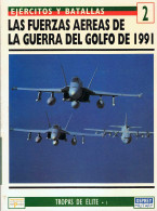 Las Fuerzas Aéreas De La Guerra Del Golfo De 1991. Ejércitos Y Batallas 2 - Roy Braybrook - Storia E Arte