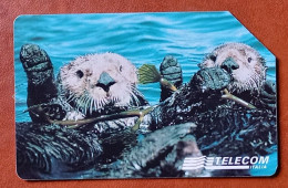 Italie.       Carte Téléphonique -     Animaux Pour Ainsi Dire - La Loutre -   Italie . - Andere - Europa